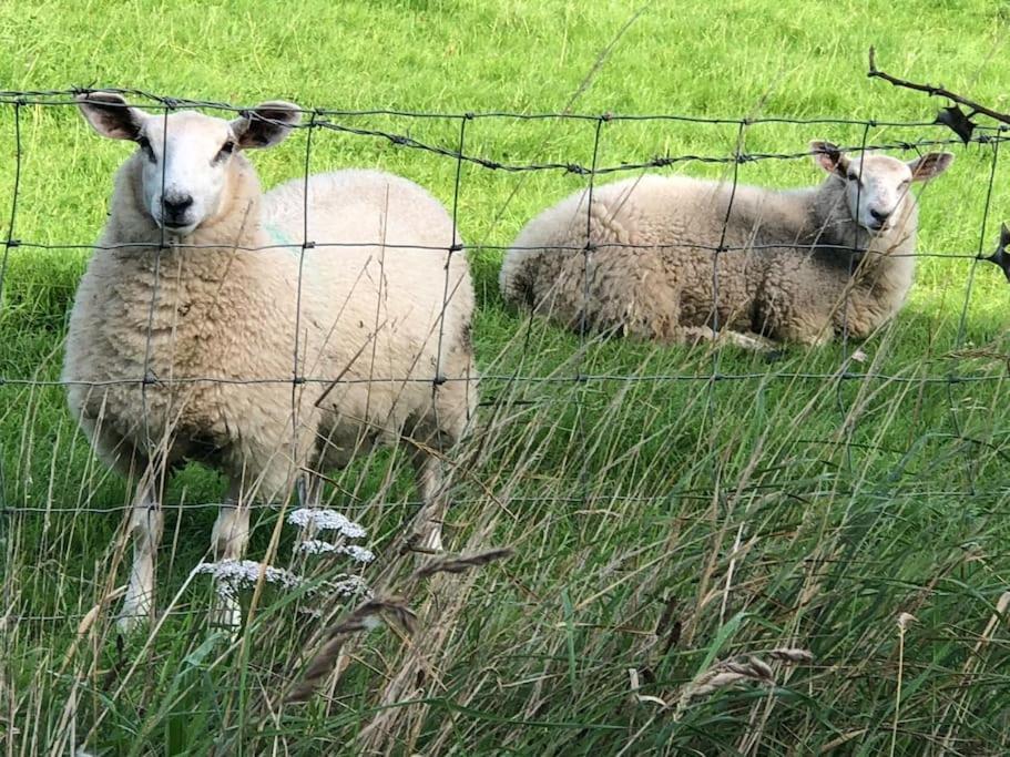 Willa Cosy Farmhouse Escape In Monmouthshire Wolves Newton Zewnętrze zdjęcie