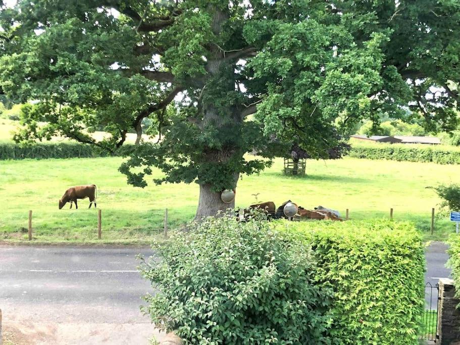 Willa Cosy Farmhouse Escape In Monmouthshire Wolves Newton Zewnętrze zdjęcie